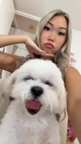 mr.tobiman Instagram post about Dog behavior