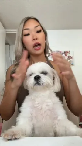 mr.tobiman Instagram post about Dog grooming
