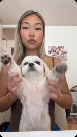 Mr. Tobiman 🐾 Instagram post thumbnail