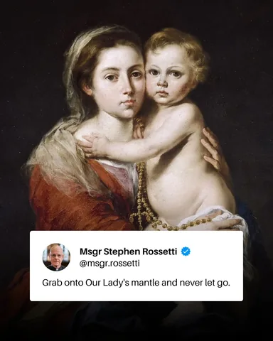 msgr.rossetti Instagram post about Virgin Mary