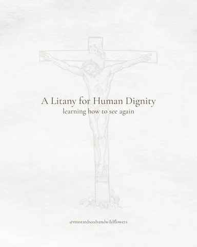 mustardseedsandwildflowers Instagram post about Christian human dignity