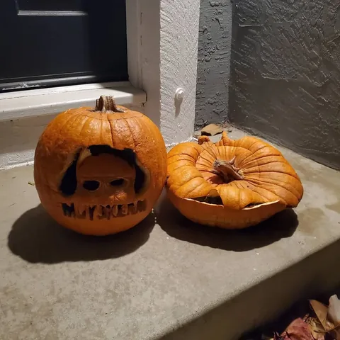 muyskerm Instagram post about Moldy Halloween pumpkins