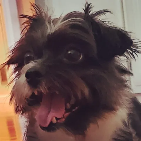 muyskerm Instagram post about Reaction to visual subject