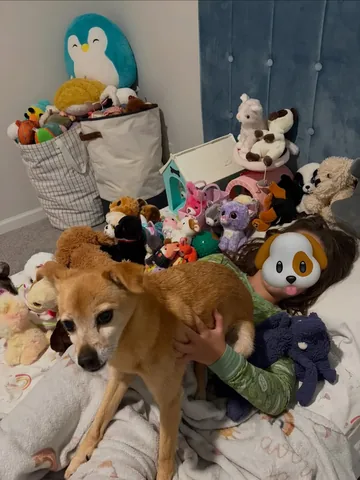 myabysslife Instagram post about Family summer activities