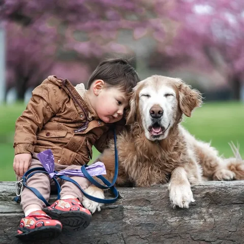 mycaninelife Instagram post about Child and dog bond
