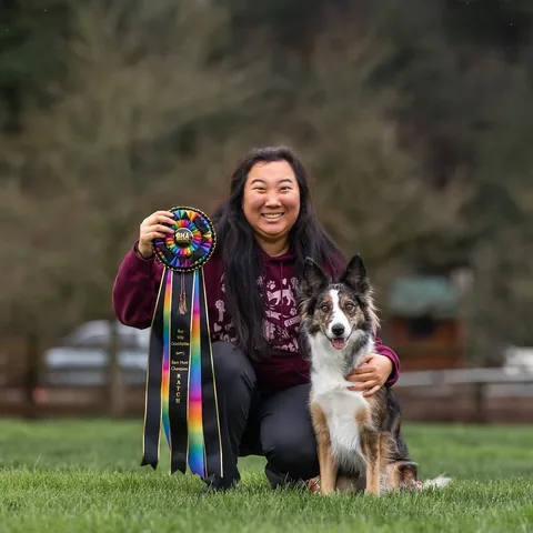 mycaninelife Instagram post about Barn hunt achievement