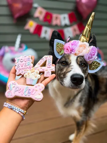 mycaninelife Instagram post about Dog birthday