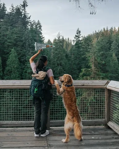 mycaninelife Instagram post about Dog companionship