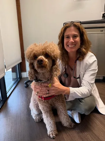 mylifewithsimonthepoodle Instagram post about Veterinary care
