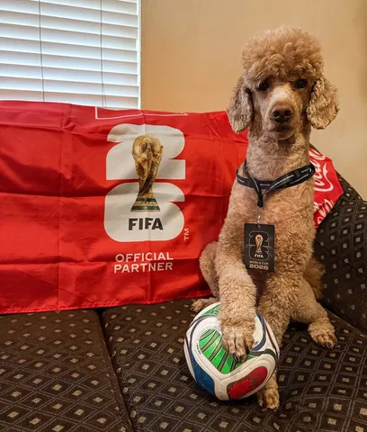mylifewithsimonthepoodle Instagram post about Soccer fandom
