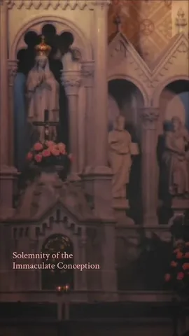 nicholelanthier Instagram post about Immaculate Conception