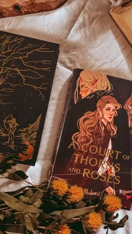 nightc0urt Instagram post about ACOTAR fan speculation