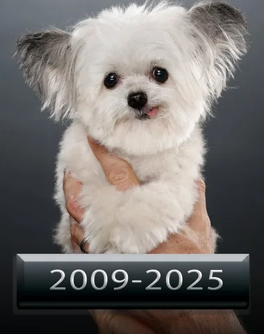 norbertthedog Instagram post about Norbert’s passing and legacy
