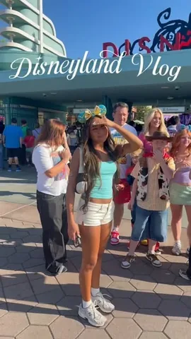 notenoughnelsons Instagram post about Disneyland outing