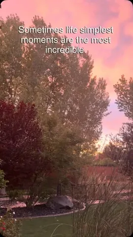 notenoughnelsons Instagram post about Religious reflection
