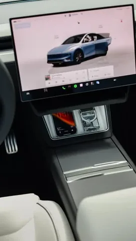 nvzion Instagram post about Tesla Model Y organization