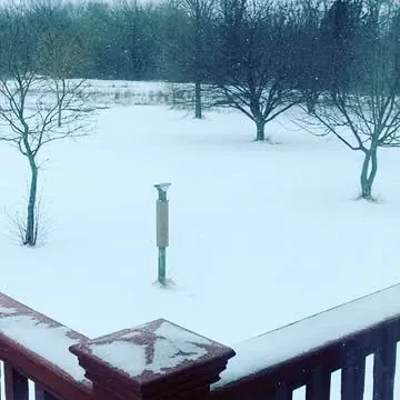 officialkittiesmamayt Instagram post about Snow day
