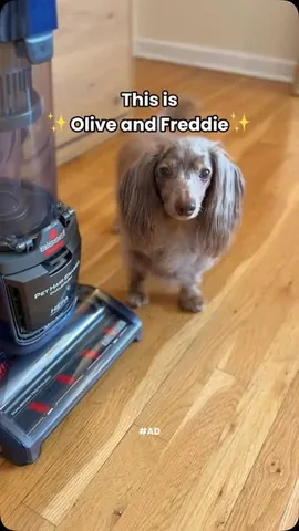 oliveyoufreddie Instagram post about Pet hair cleaning product