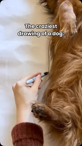 oliveyoufreddie Instagram post about Dog portrait and art comparison