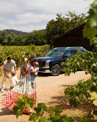 oliviarink Instagram post about Hyundai Palisade