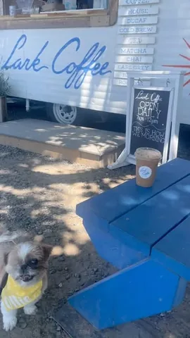 ollieallday Instagram post about Coffee outing