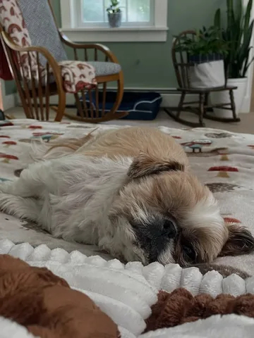ollieallday Instagram post about Contentment