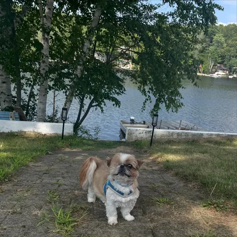 ollieallday Instagram post about Lake outing