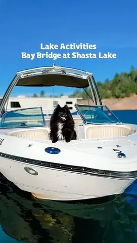 our.chaotic.little.life Instagram post about Houseboat vacation