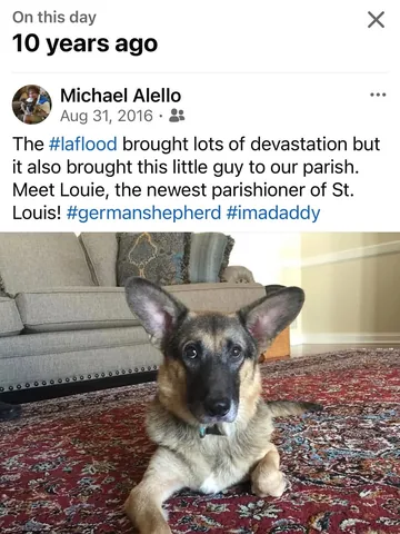 padrehooch Instagram post about Pet adoption story