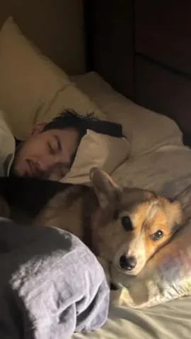 pavlovthecorgi Instagram post about Different way of thinking