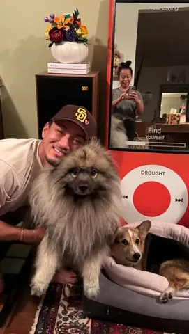 pavlovthecorgi Instagram post about Dog interrupting work calls