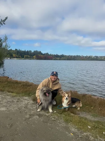 Pavlov and Maslow 🐾 Instagram post thumbnail