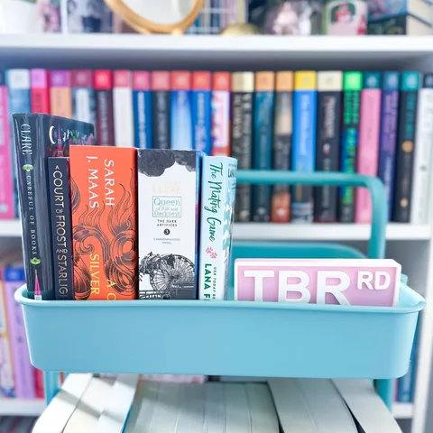pawsomereads Instagram post about Monthly TBR