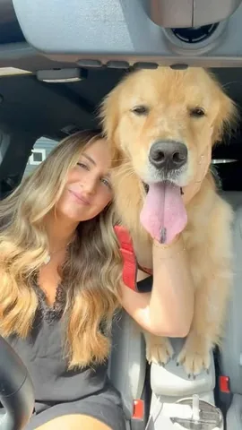 pearl.the.golden.girl Instagram post about Puppy cupcake ASMR