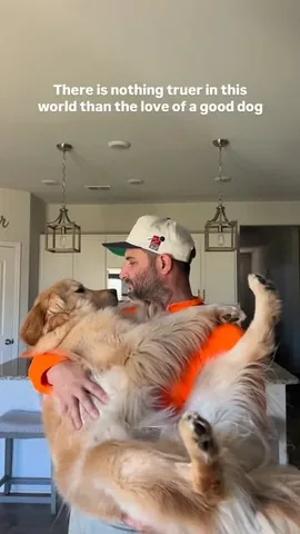 pearl.the.golden.girl Instagram post about Love of dogs