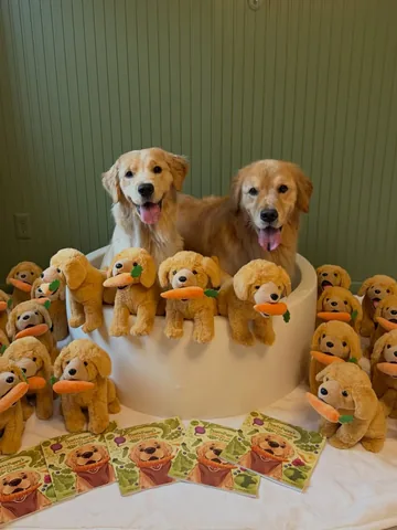 pearl.the.golden.girl Instagram post about Pearl merchandise giveaway