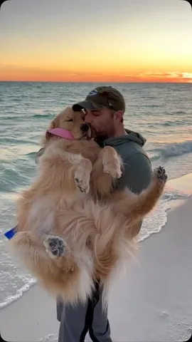 pearl.the.golden.girl Instagram post about Dog longevity and grief
