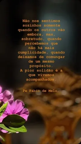 pefabiodemelo Instagram post about Solidão