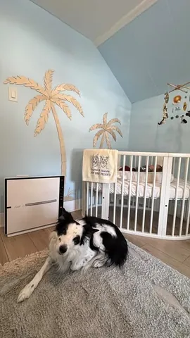 pharrellandrosie Instagram post about Nursery air quality