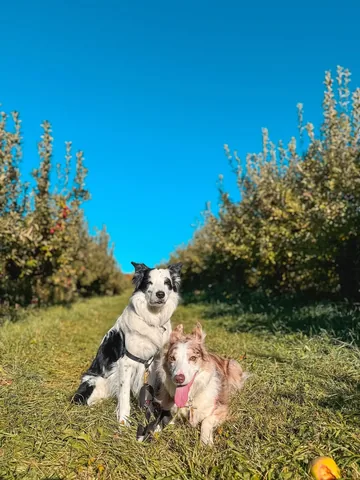 pharrellandrosie Instagram post about Family affection