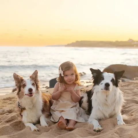 pharrellandrosie Instagram post about Life with children and dogs