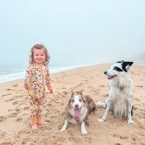 pharrellandrosie Instagram post about Toddler and dogs at the beach