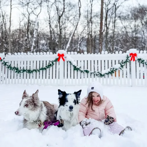 pharrellandrosie Instagram post about Snow day with dogs and toddler