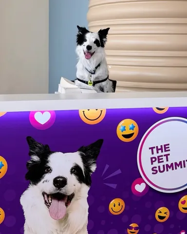 pharrellandrosie Instagram post about The Pet Summit registration