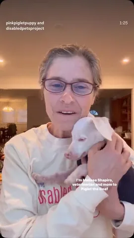 pinkpigletpuppy Instagram post about Disabled pet care resources