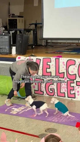 pinkpigletpuppy Instagram post about Educational school visits
