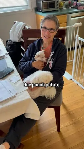 Melissa Shapiro, DVM & Piglet, the deaf blind pink puppy Instagram post thumbnail