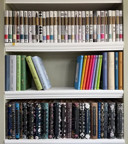 places_and_books Instagram post about Bookshelf organization