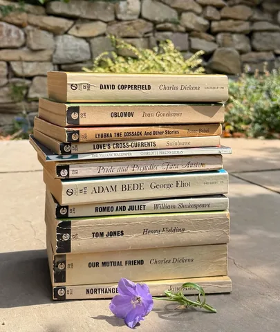 places_and_books Instagram post about Dolly Parton tribute