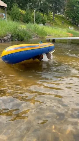 pointerpawprints Instagram post about Dog fishing behavior